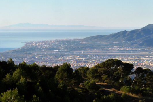 Bosque y mar